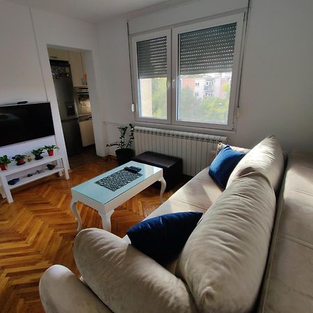 Petra Apartment Nowy Sad Zewnętrze zdjęcie